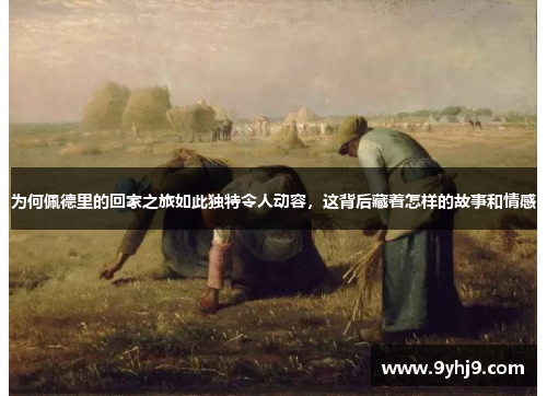 为何佩德里的回家之旅如此独特令人动容，这背后藏着怎样的故事和情感